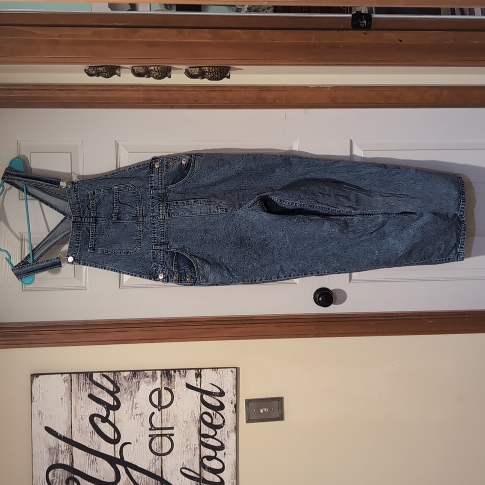 Free People Ziggy denim overalls